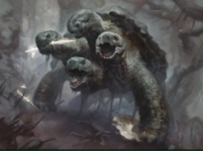 turtle-hydra