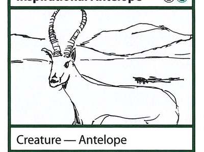 antelope