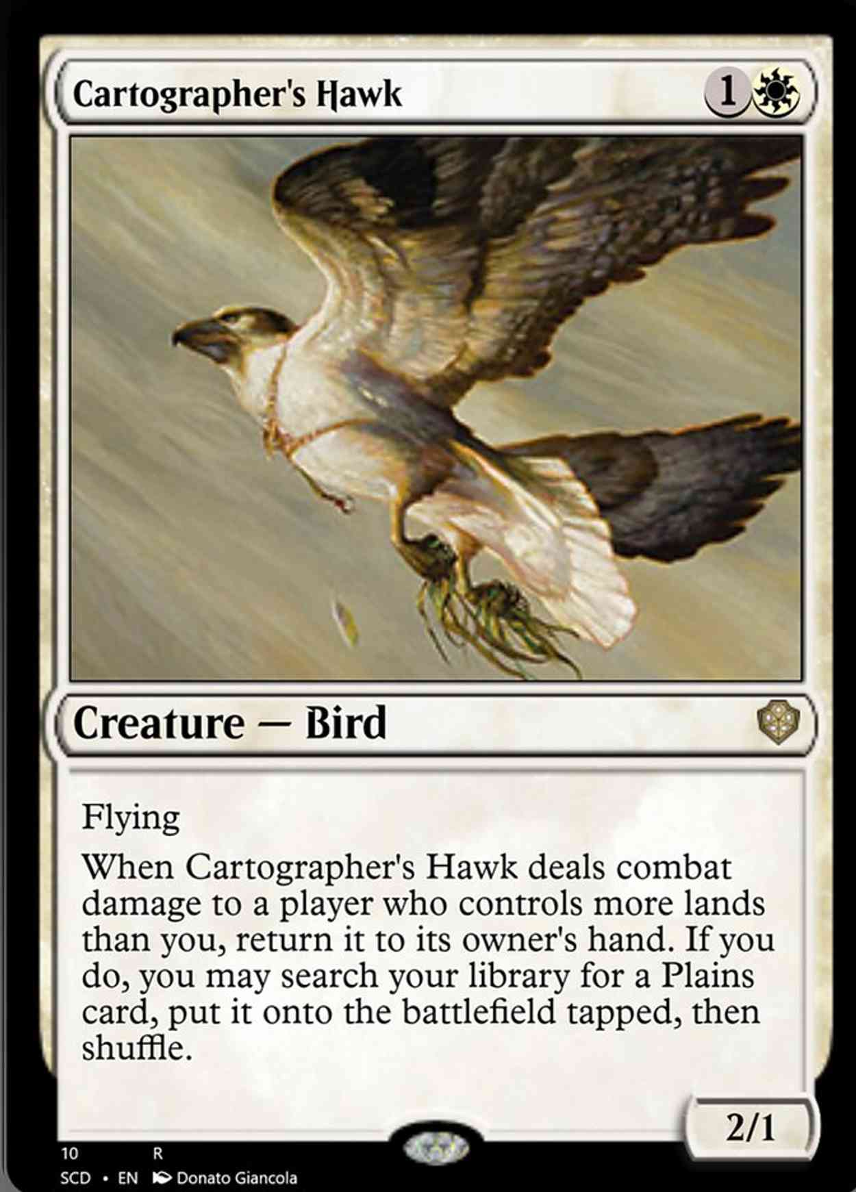 Cartographer's Hawk magic card front