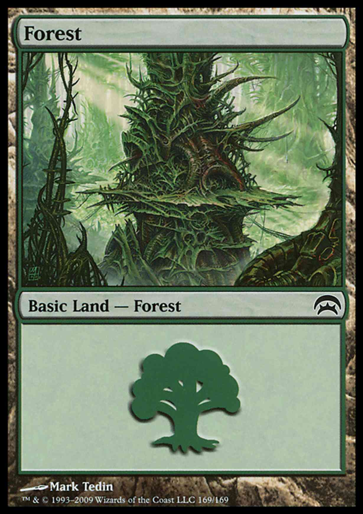 Forest (169)  magic card front
