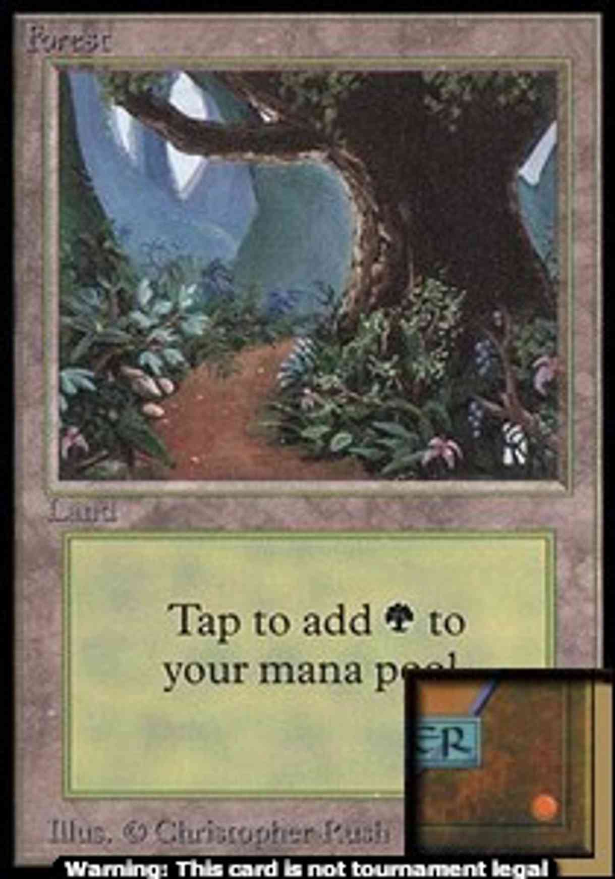 Forest (B) (CE) magic card front