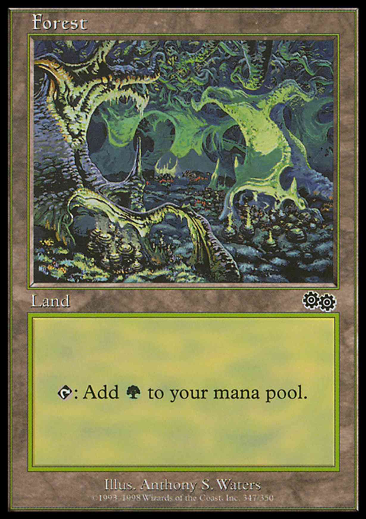 Forest (347) magic card front