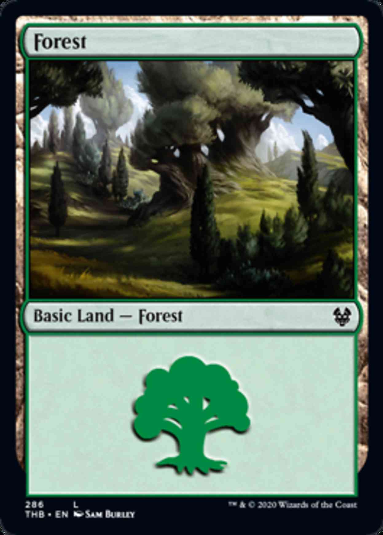 Forest (286) magic card front