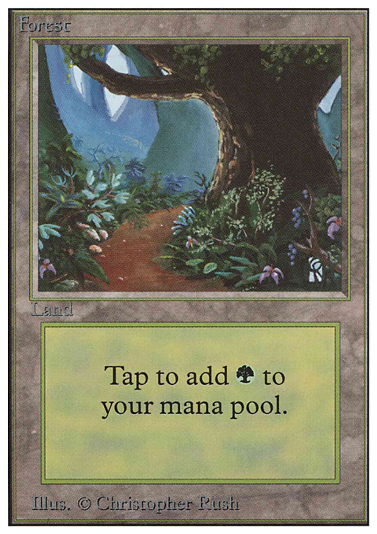 Forest (B) magic card front