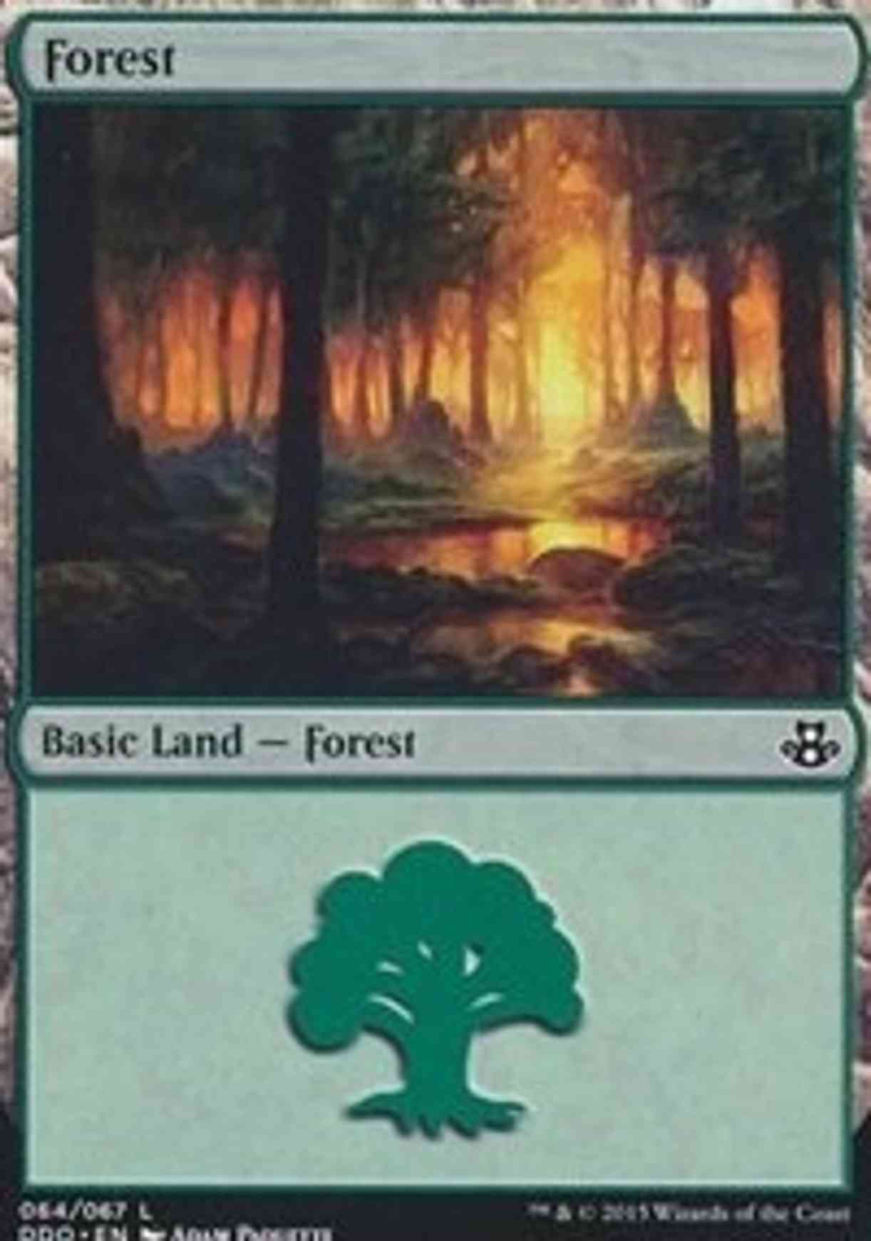 Forest (64) magic card front
