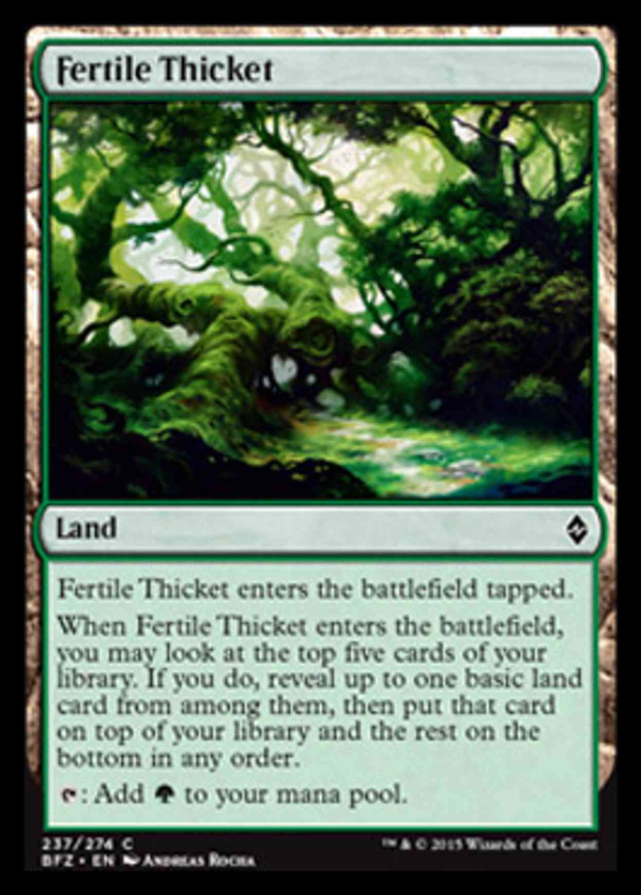 Fertile Thicket magic card front