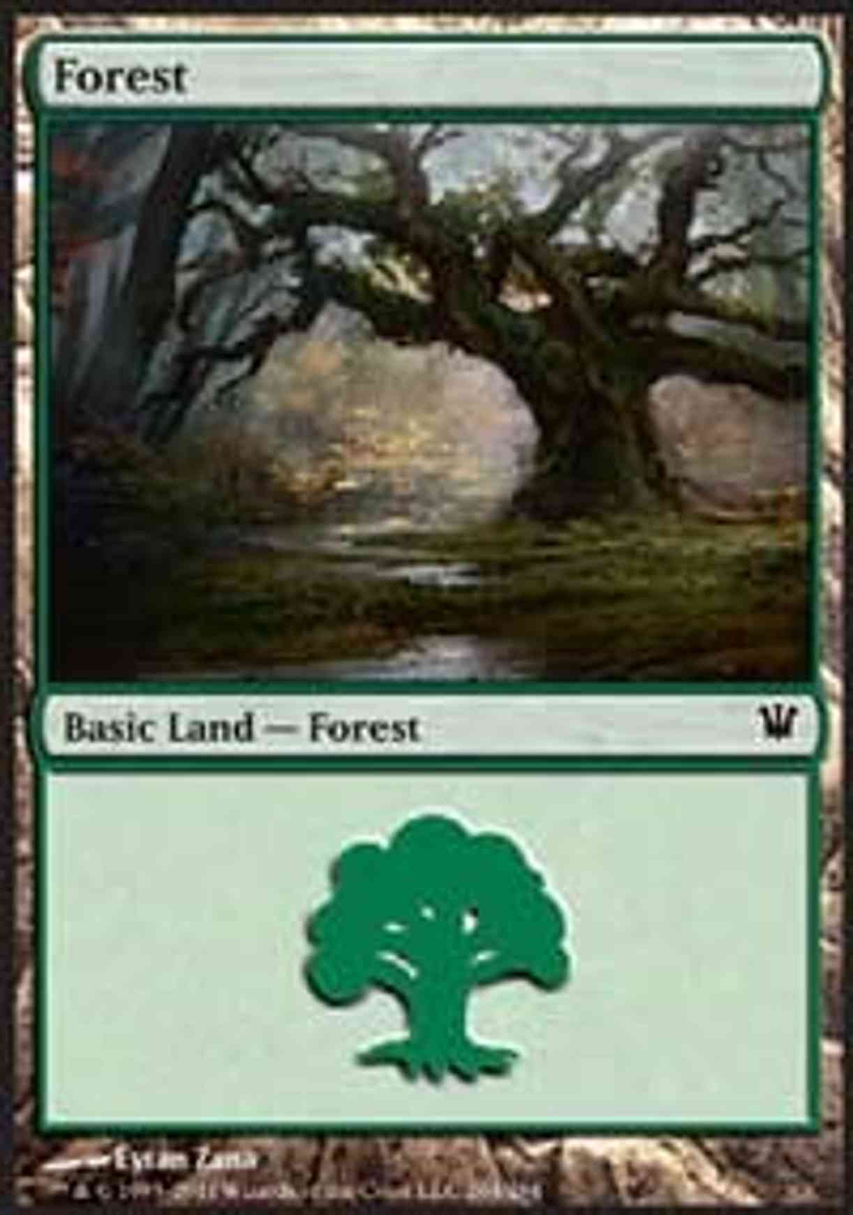 Forest (264) magic card front