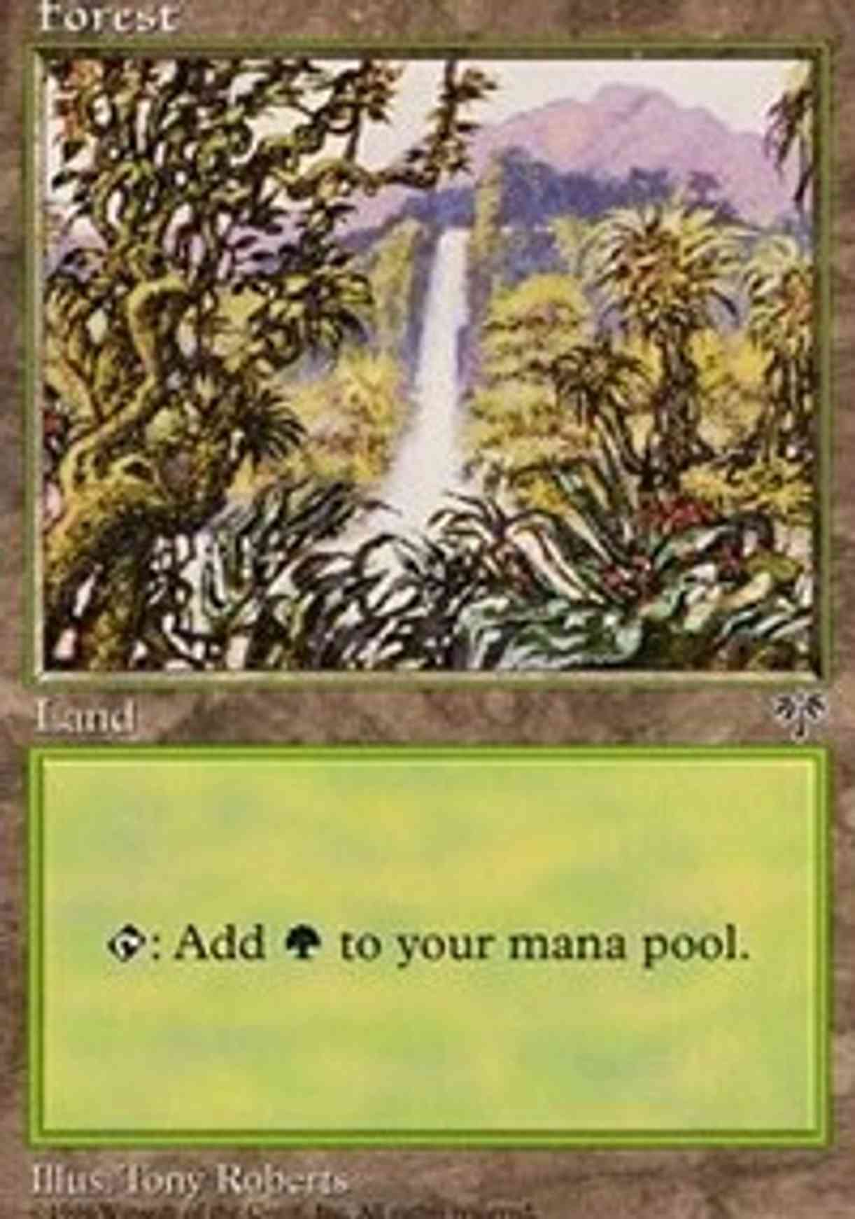Forest (Waterfall) magic card front