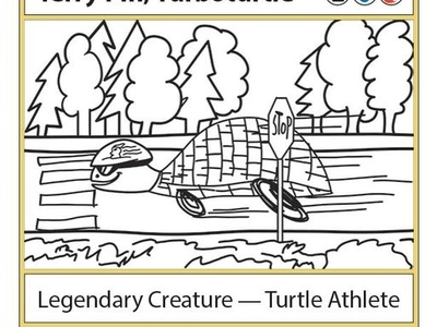 turtle-athlete