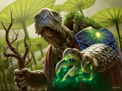 turtle-shaman