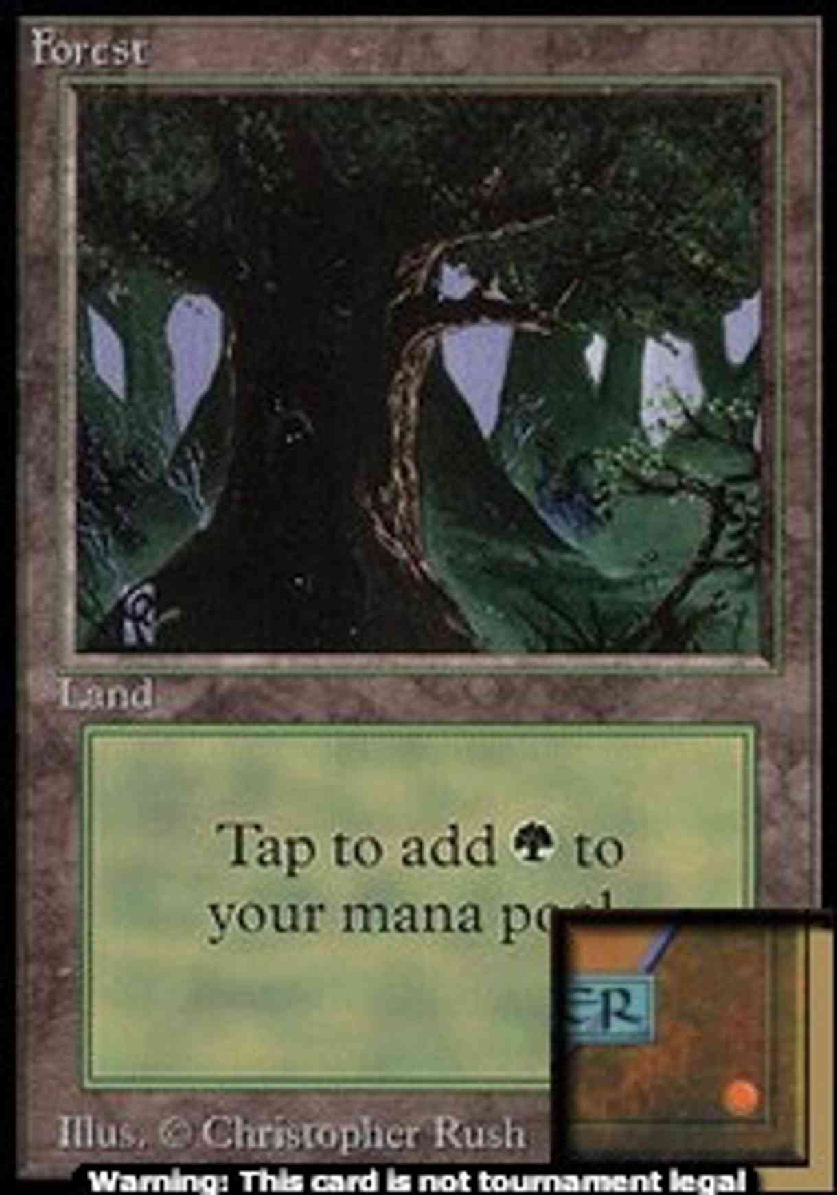 Forest (C) (CE) magic card front