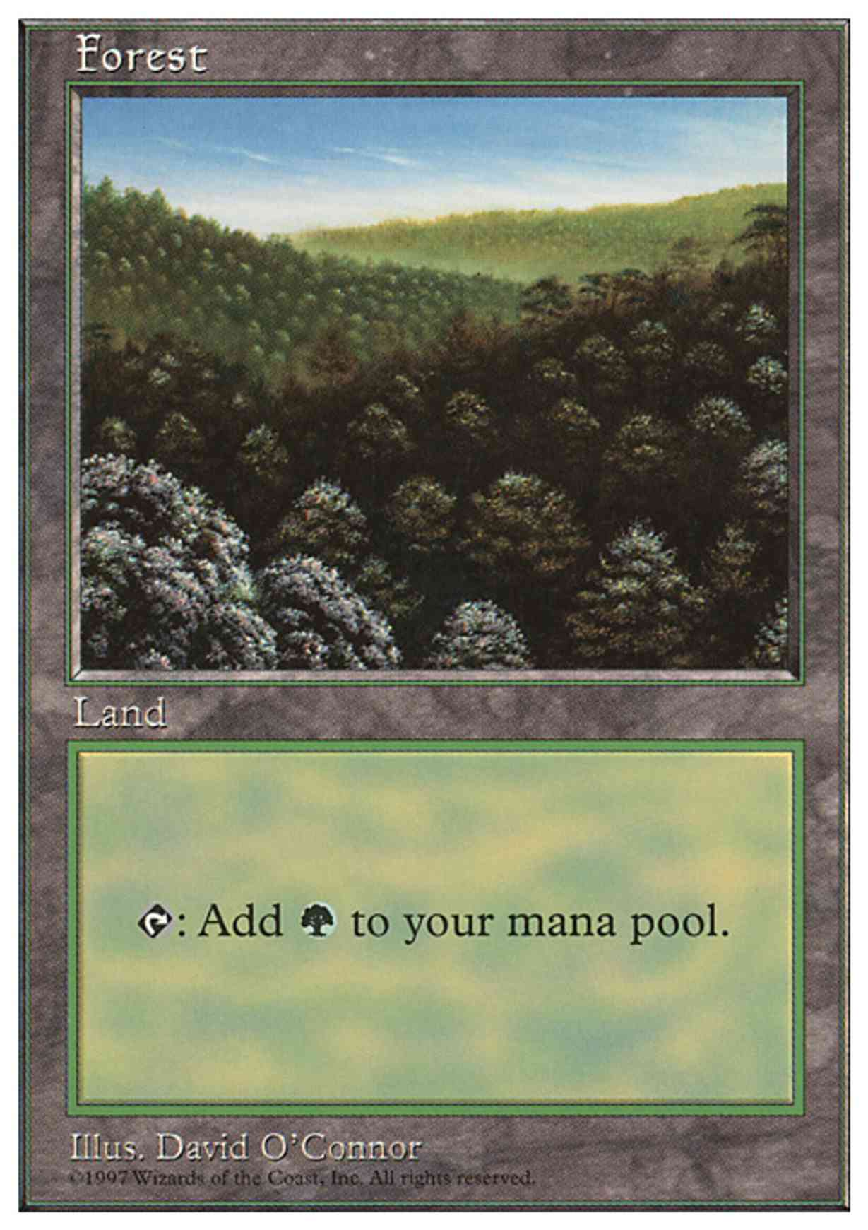 Forest (446) magic card front