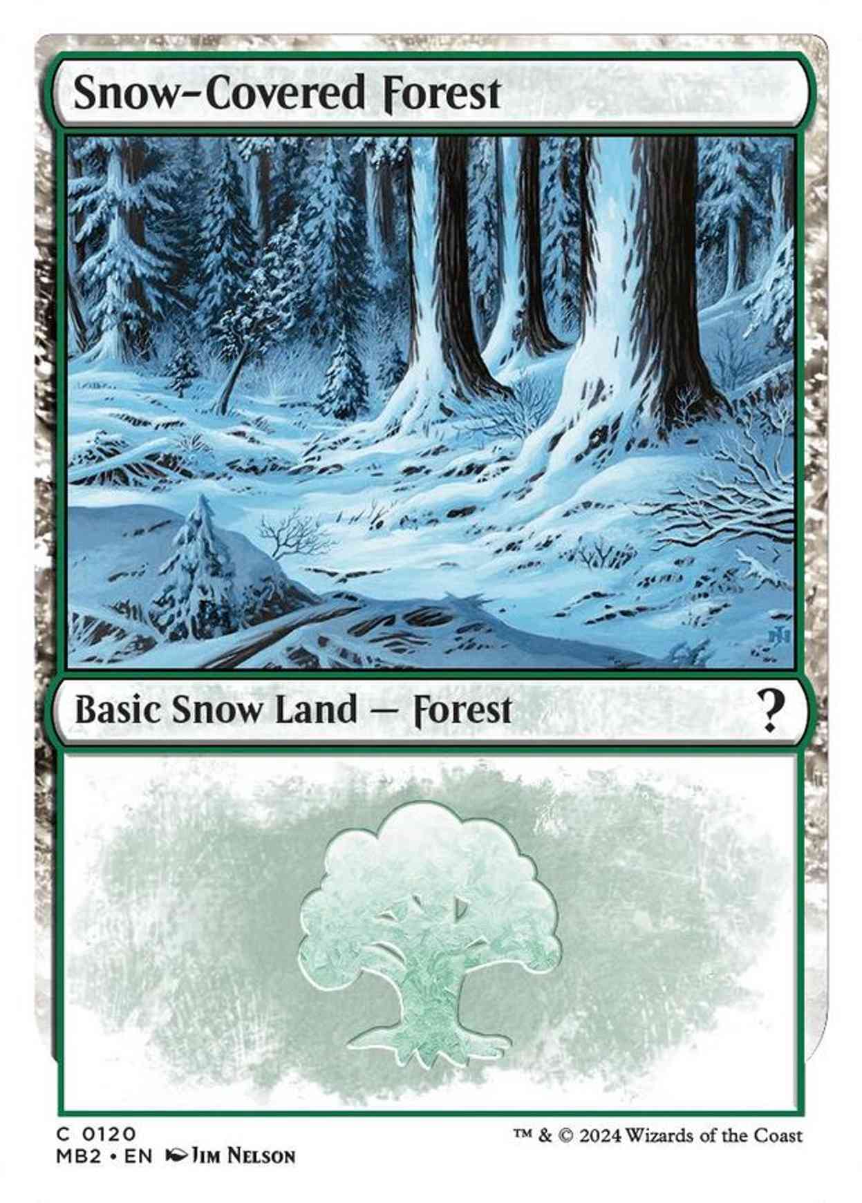 Snow-Covered Forest (White Border) magic card front