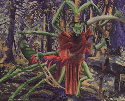 insect-monk-cleric