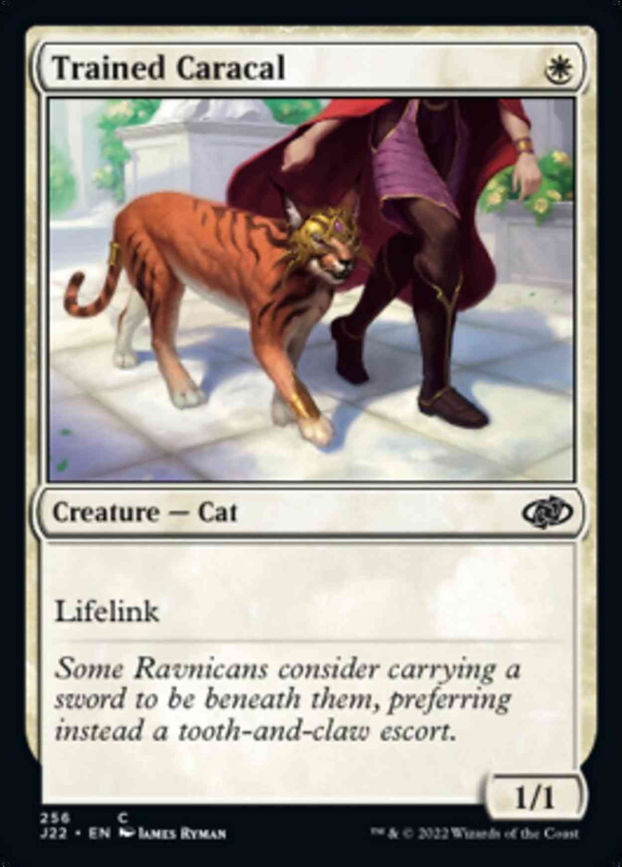 Trained Caracal magic card front