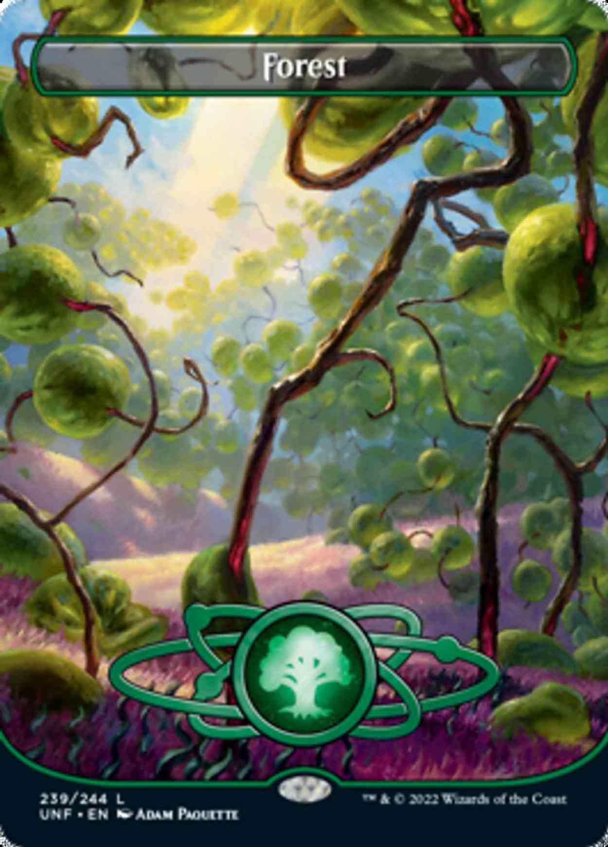 Forest (239) (Borderless) magic card front