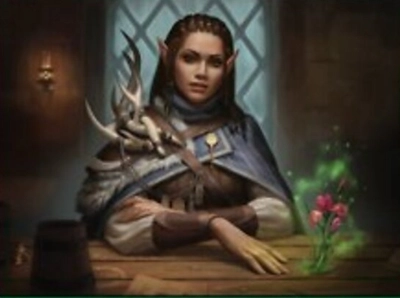 human-elf-druid