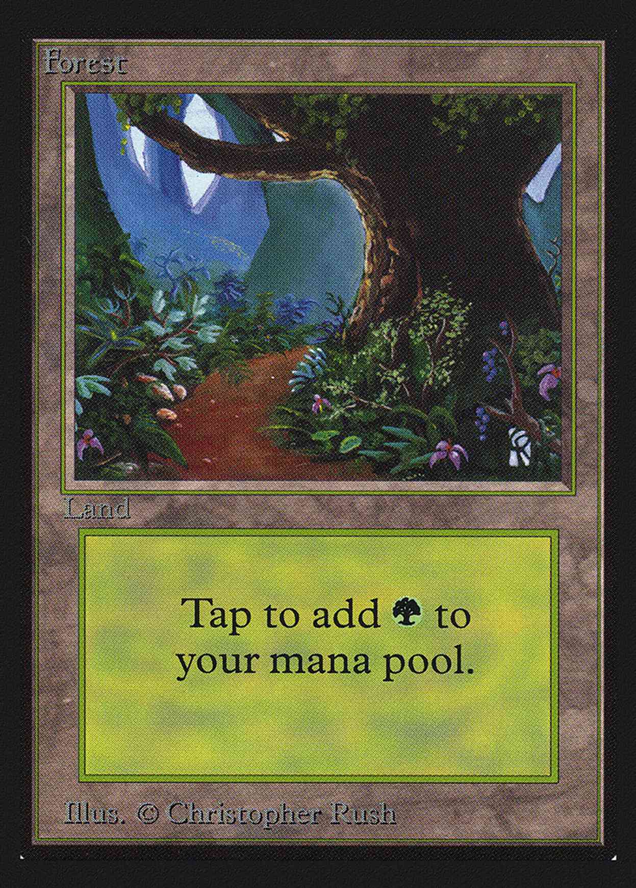 Forest (Path)(IE) magic card front