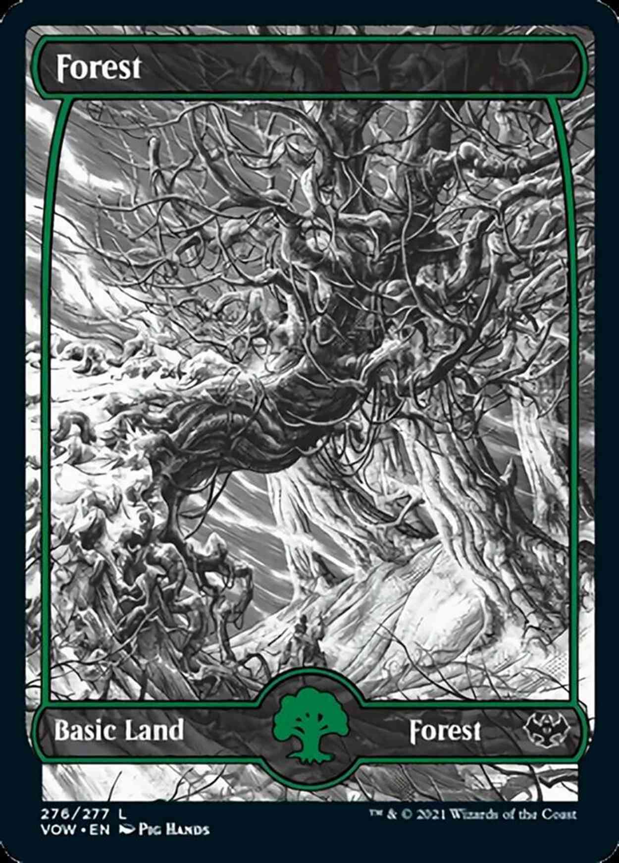 Forest (276) magic card front