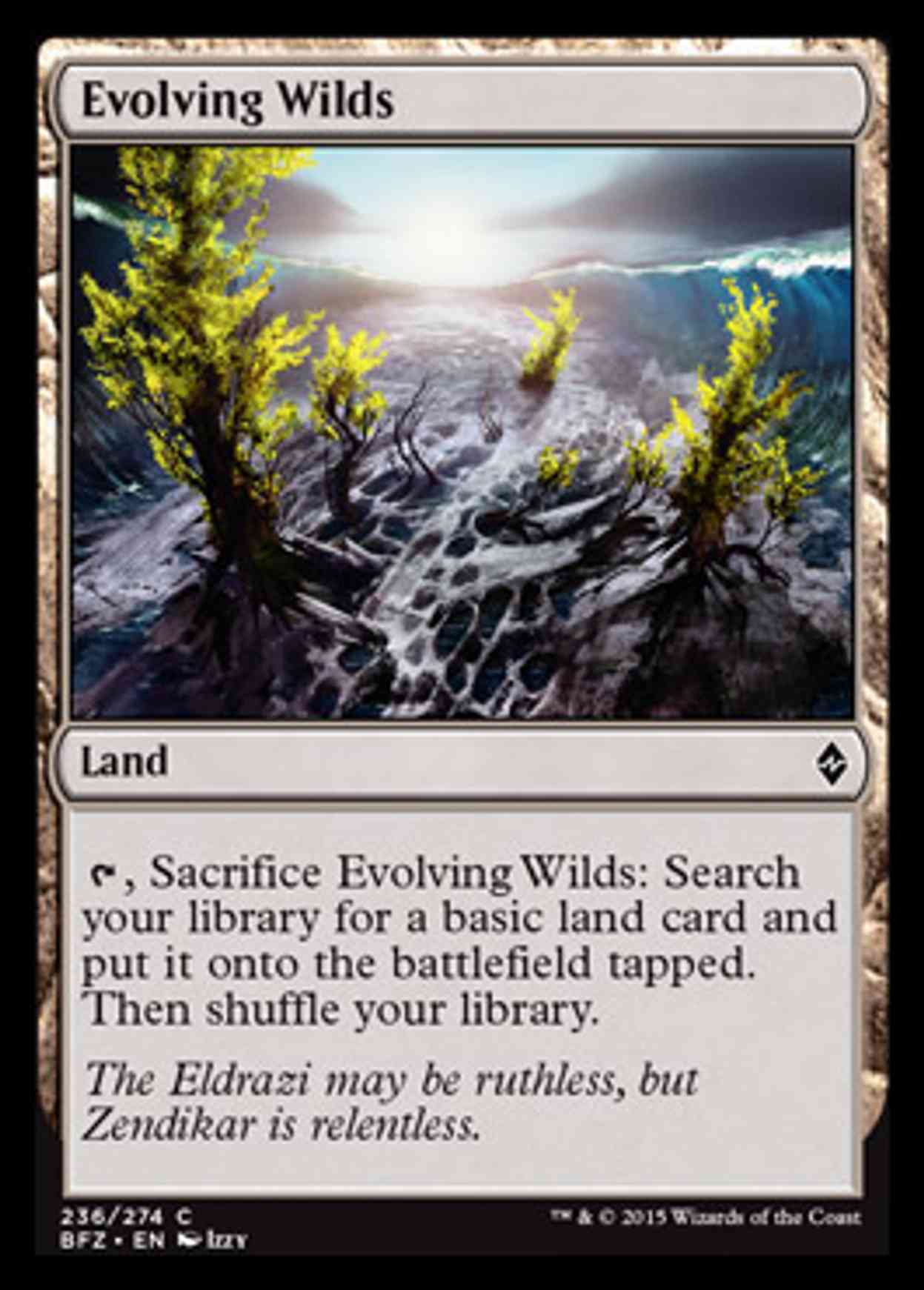 Evolving Wilds magic card front