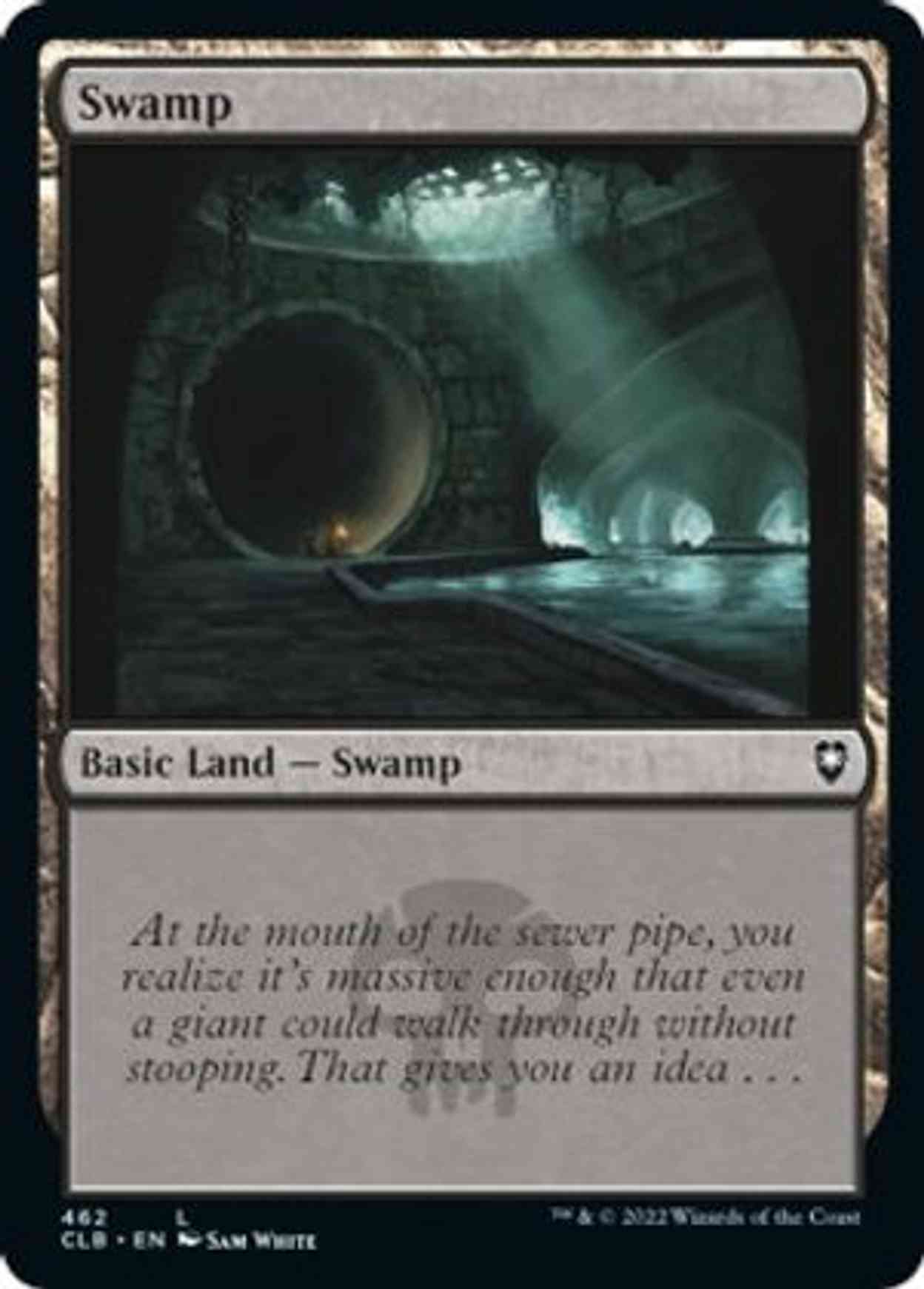 Swamp (462) magic card front