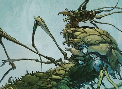 elemental-insect