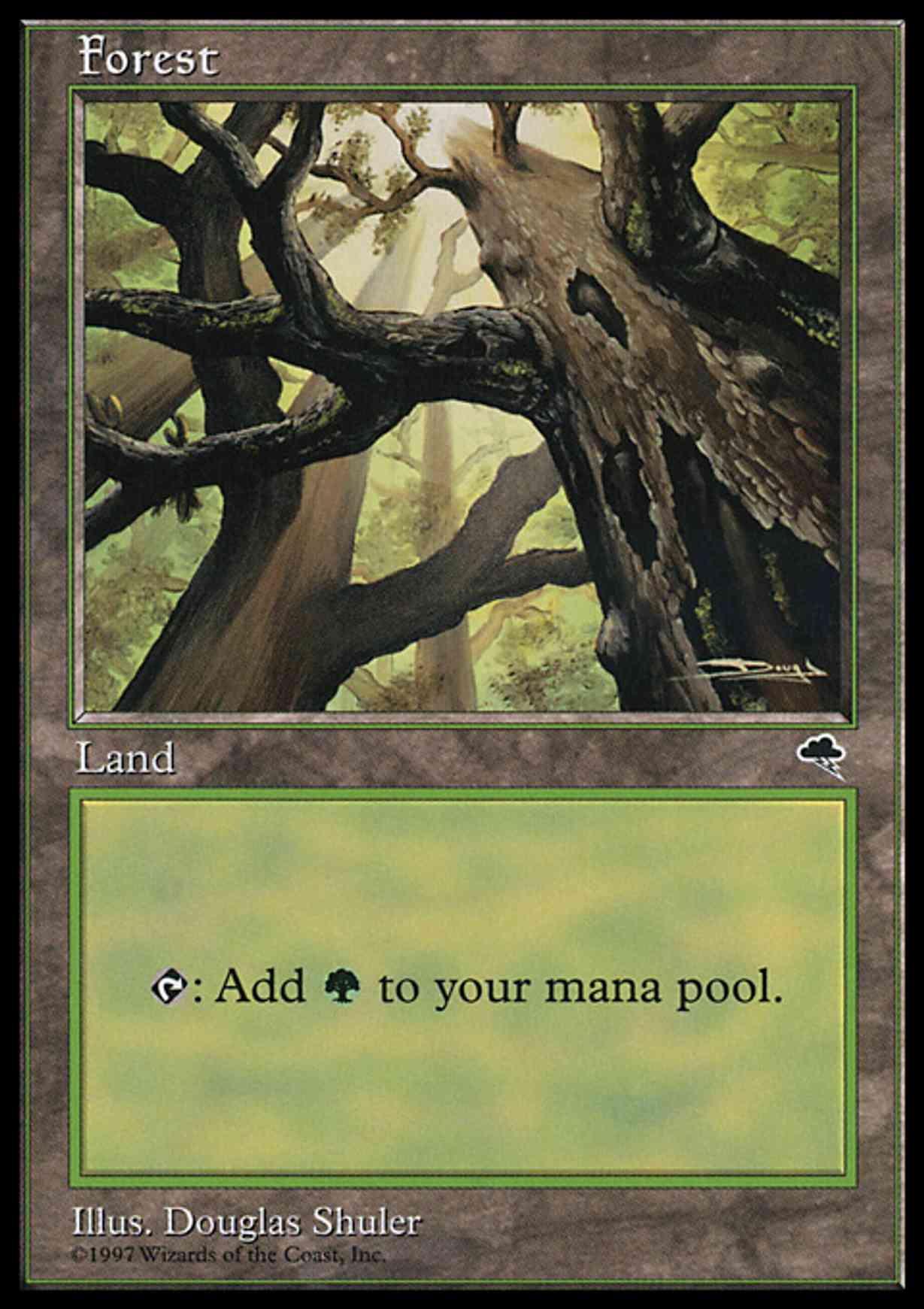 Forest (Skyward) magic card front
