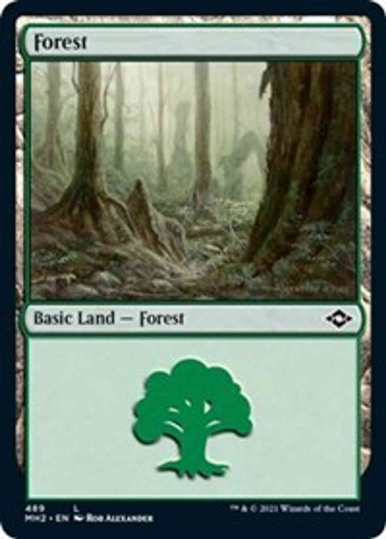 Forest (489) (Foil Etched) magic card front