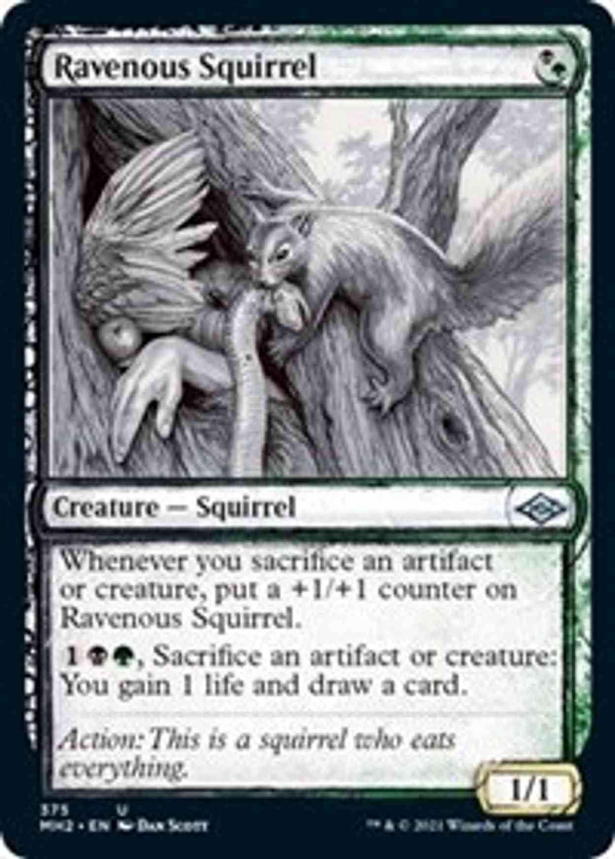 Ravenous Squirrel (Showcase) magic card front
