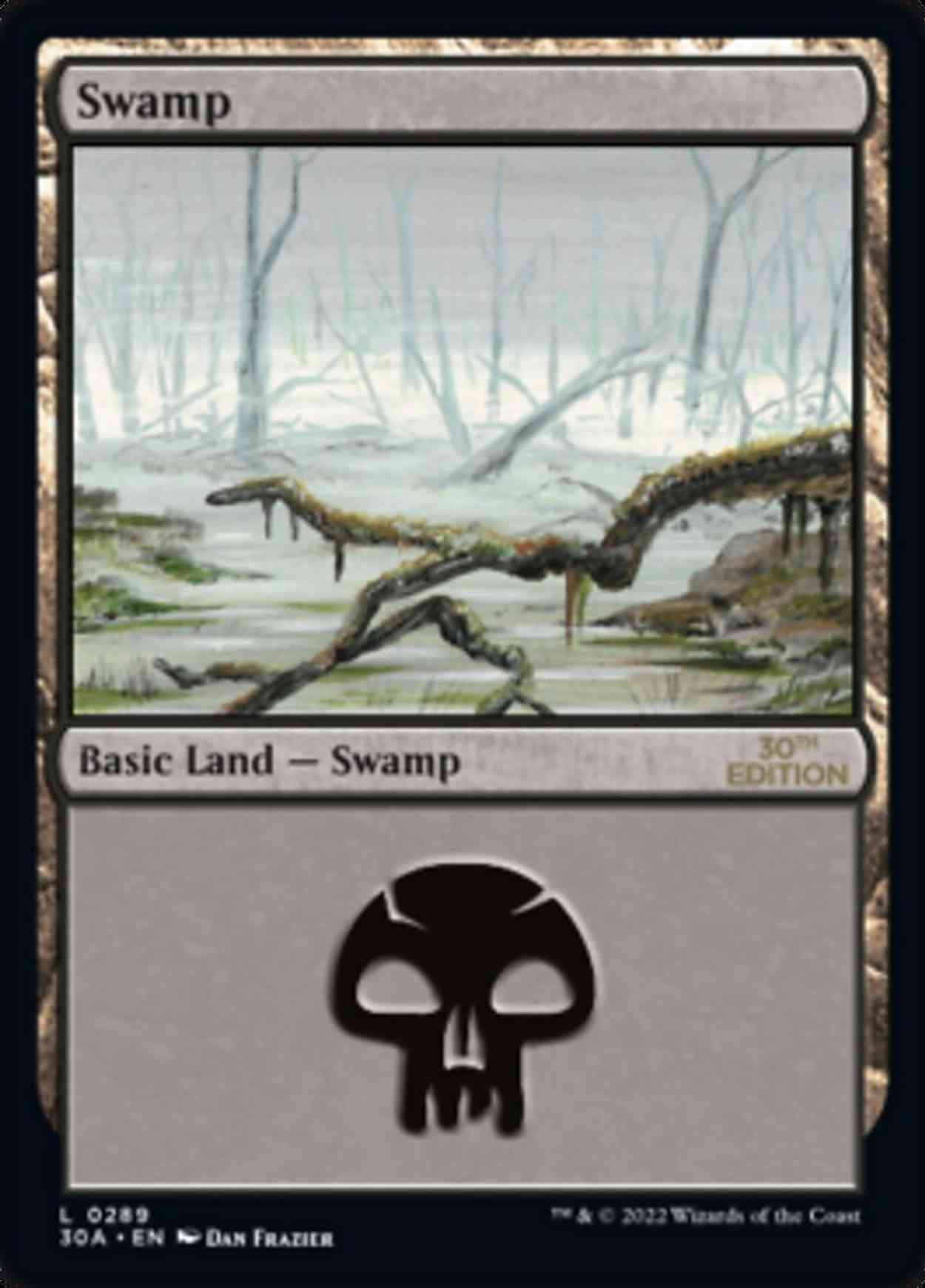 Swamp (289) magic card front