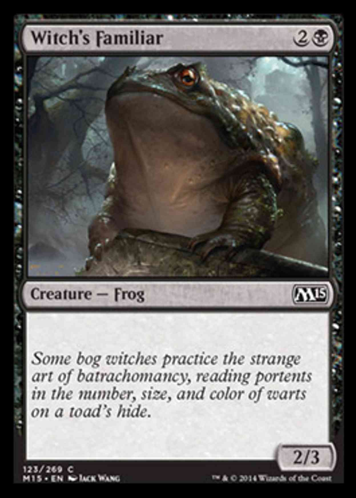 Witch's Familiar magic card front