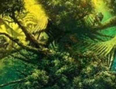 Gateway Promos Card Prices