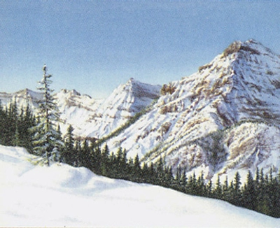 mountain-forest