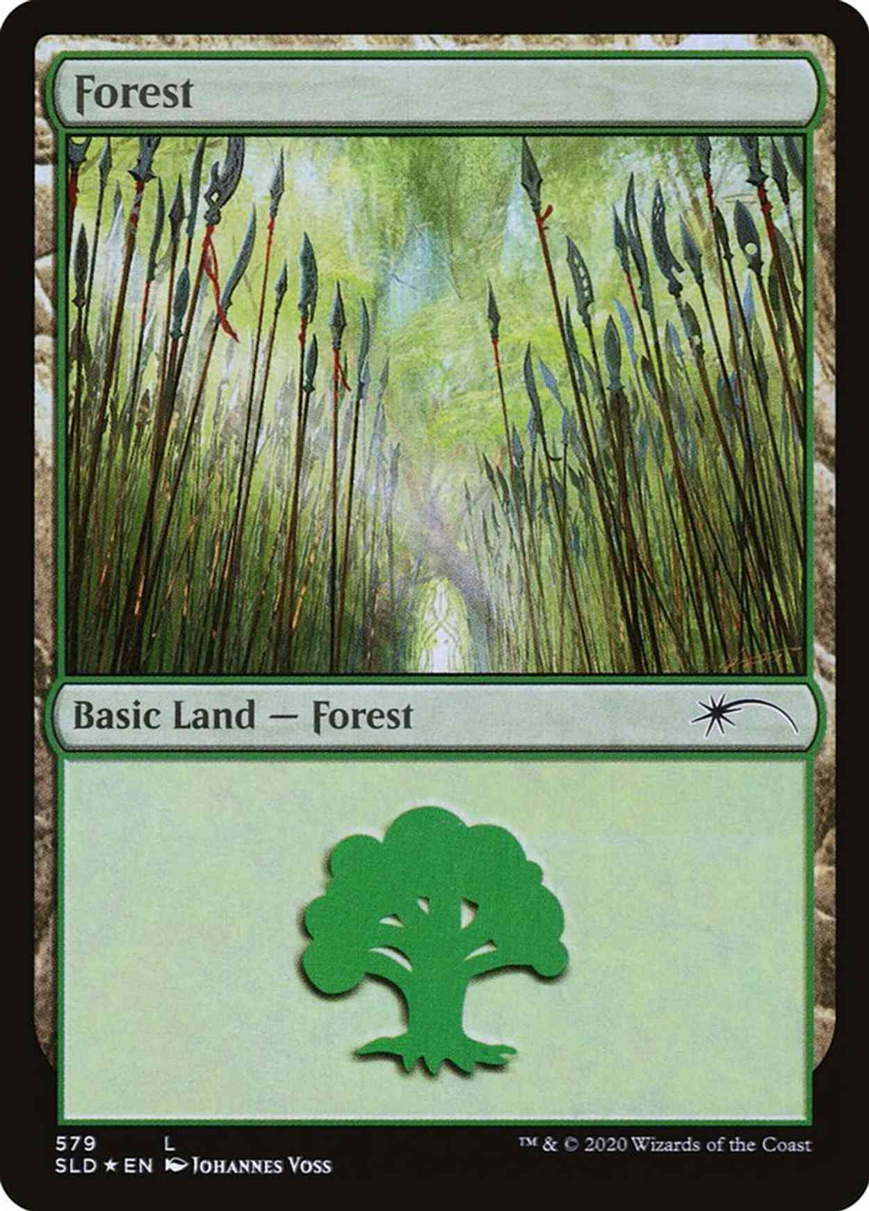 Forest (579) magic card front