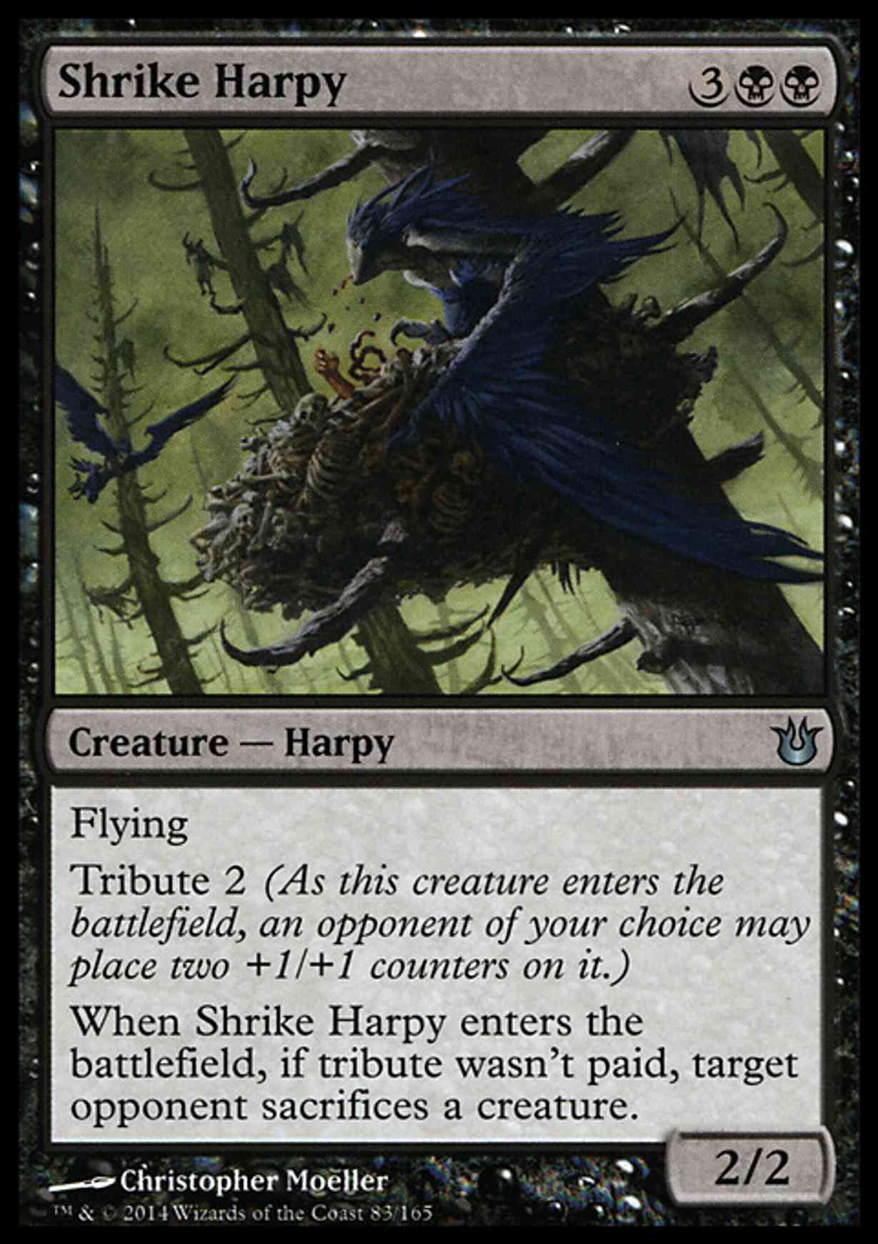 Shrike Harpy magic card front