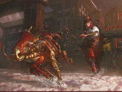 equipment-boar