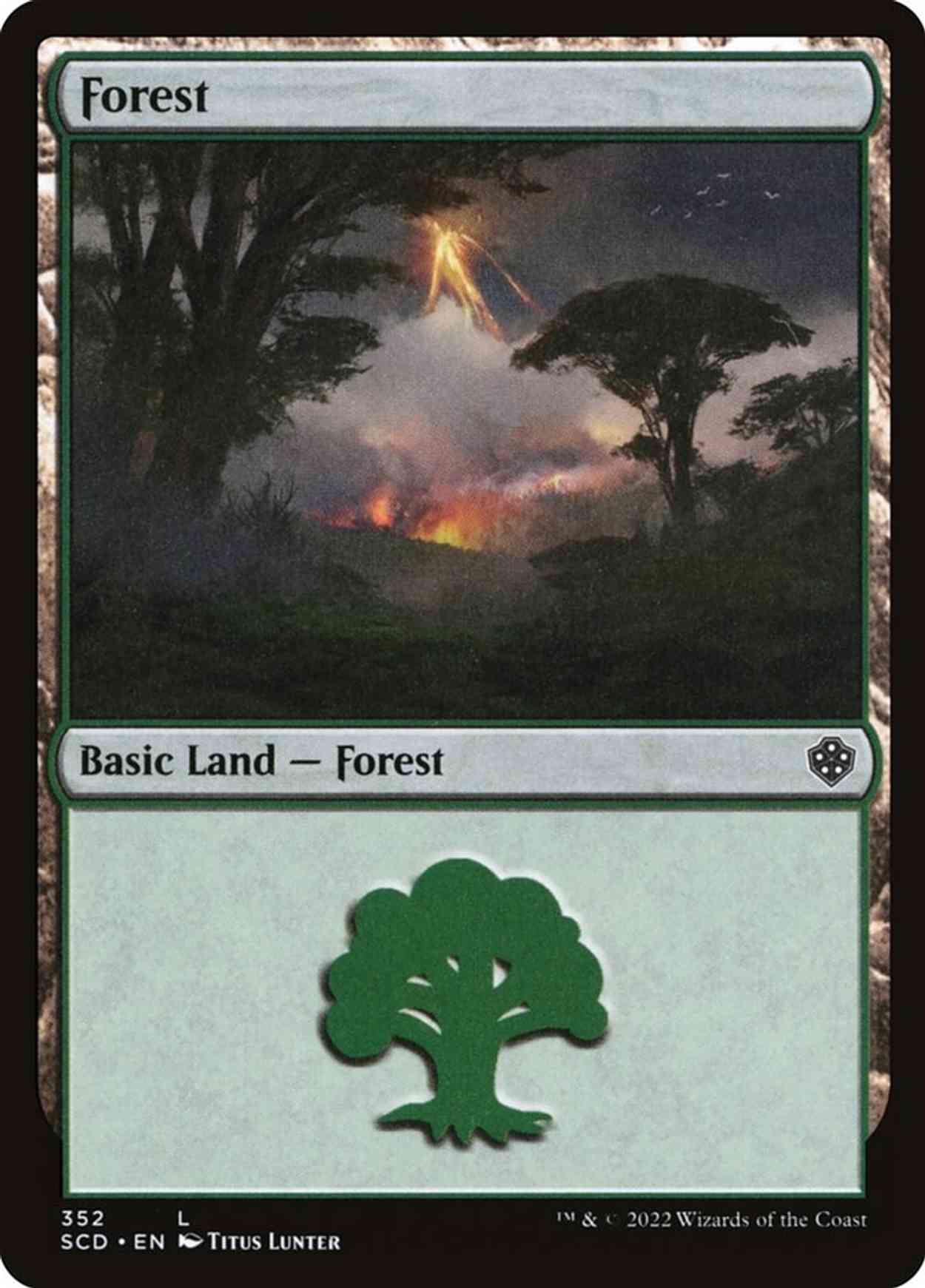 Forest (352) magic card front