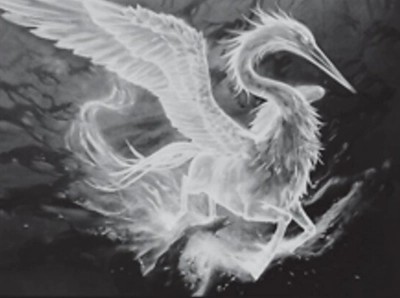 hippogriff-spirit