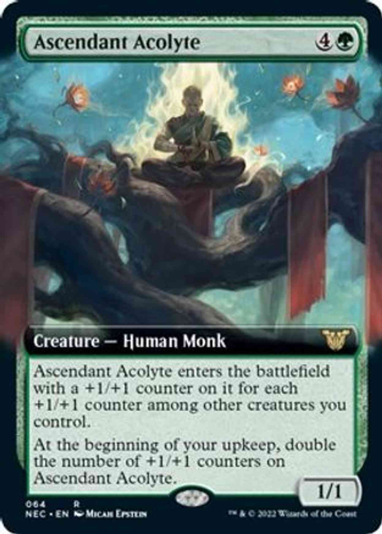 Ascendant Acolyte (Extended Art) magic card front