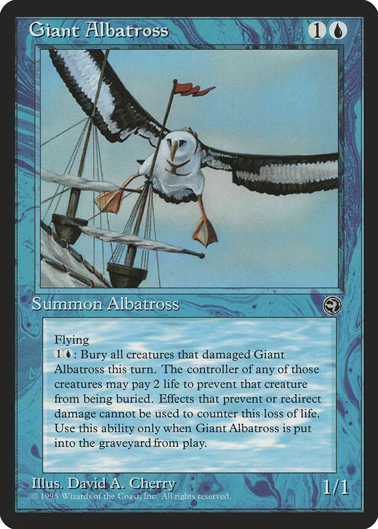 Giant Albatross Vs. Human: Who'S The Real King Of The Skies? - 54rlqff
