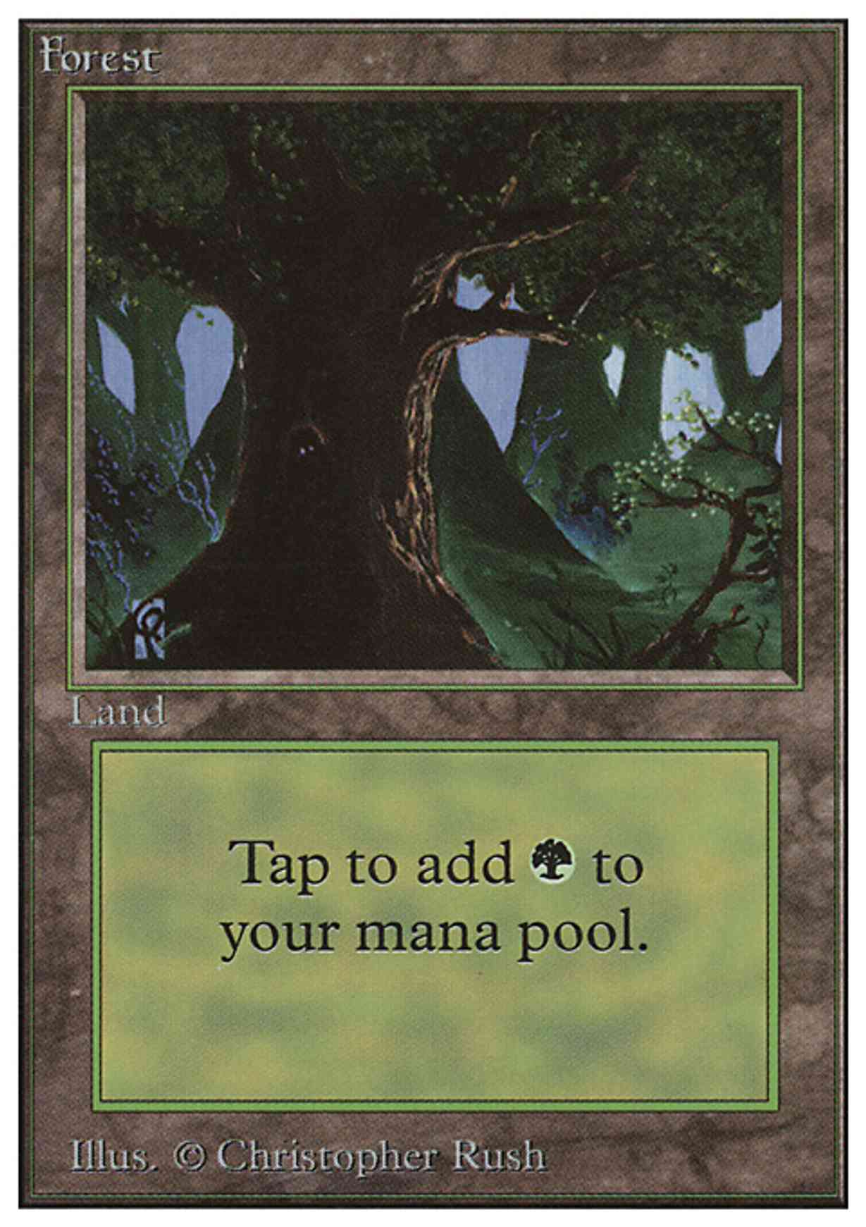 Forest (C) magic card front