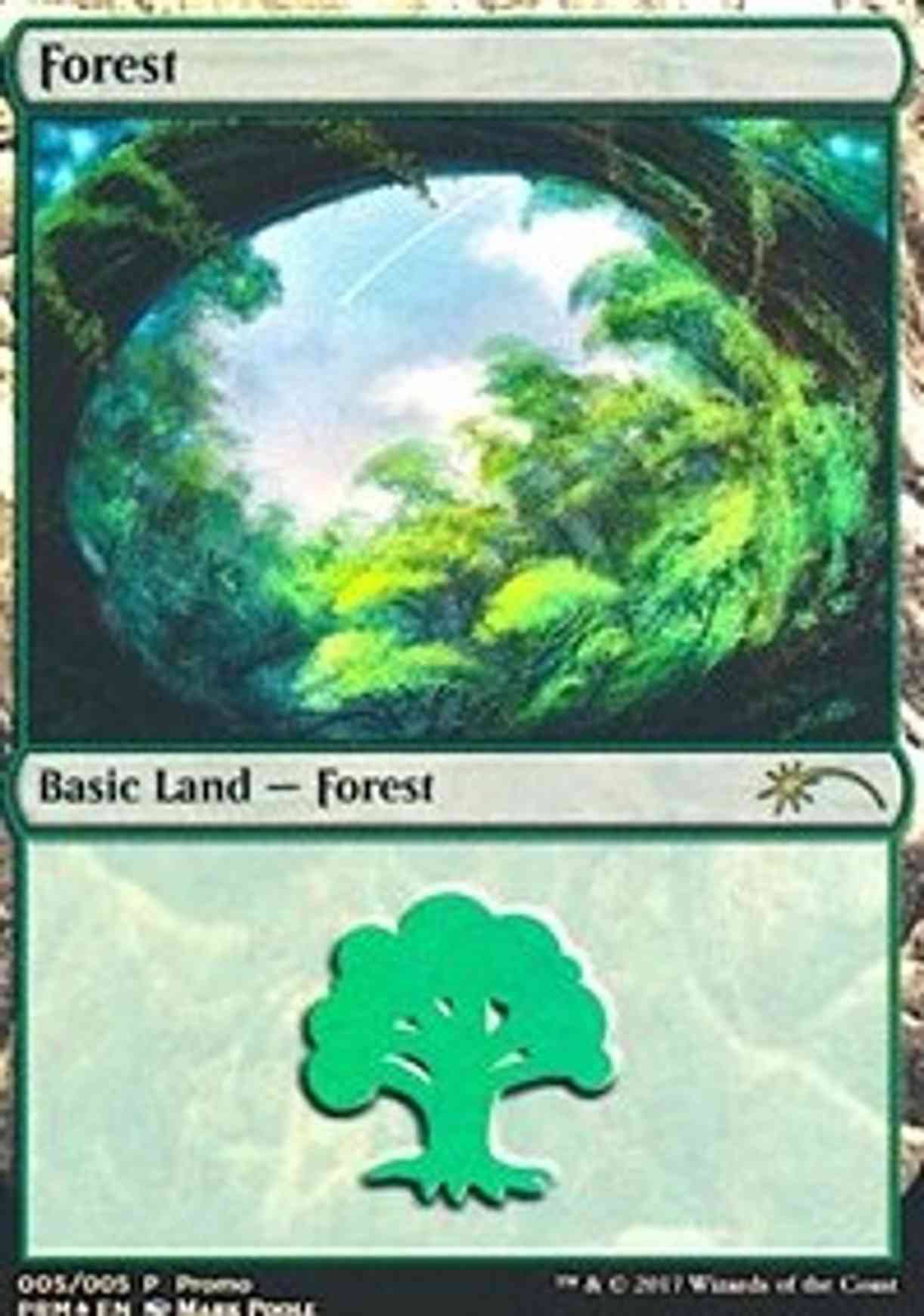 Forest (2017 Gift Pack - Poole) magic card front