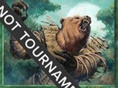 human-bear-druid