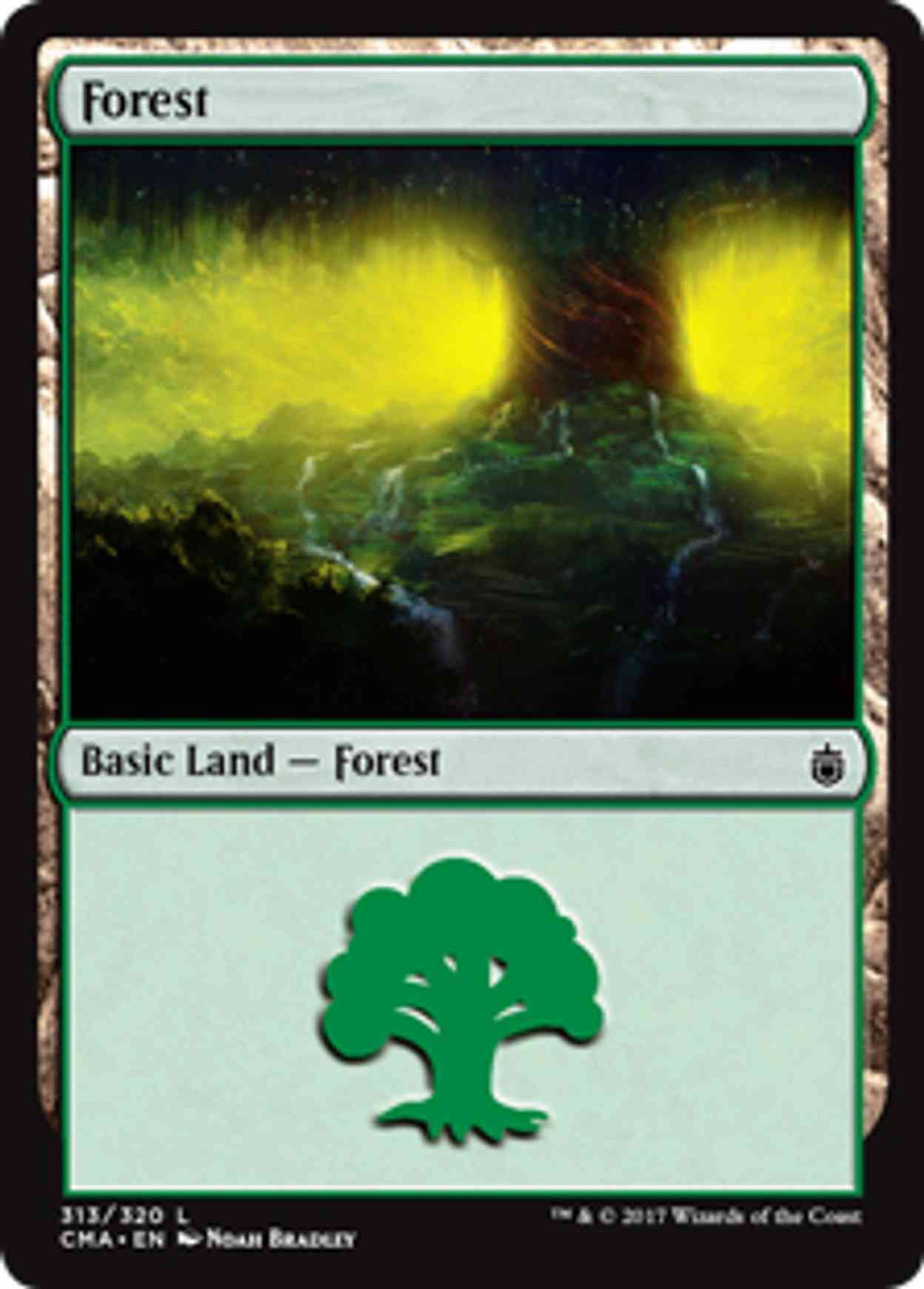Forest (313) magic card front
