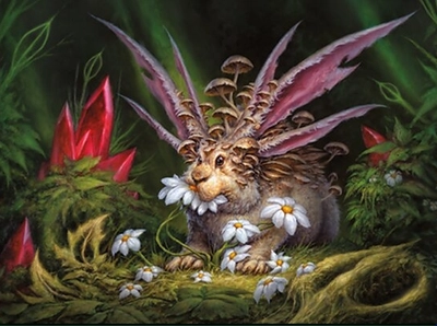 fungus-rabbit