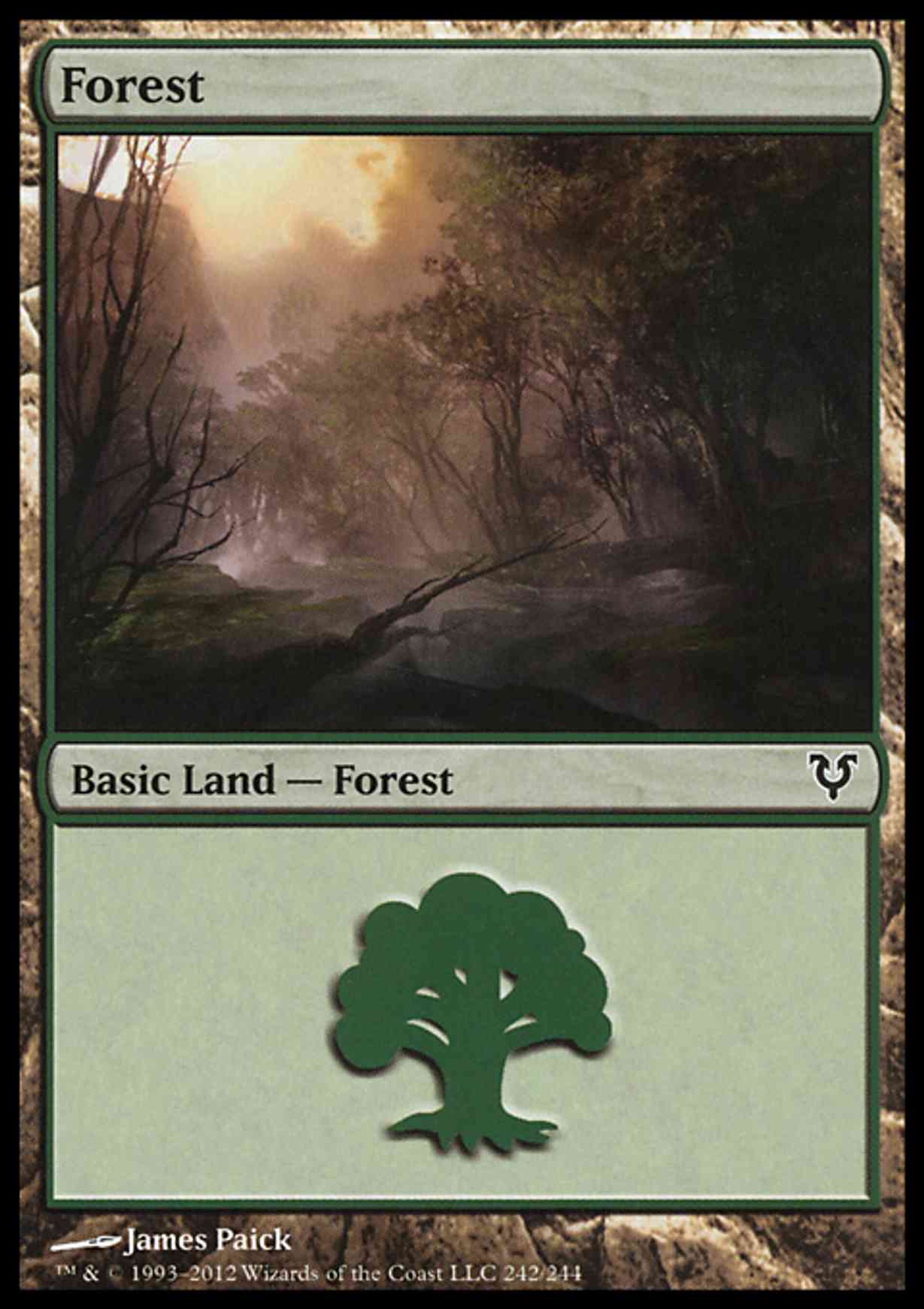 Forest (242)  magic card front
