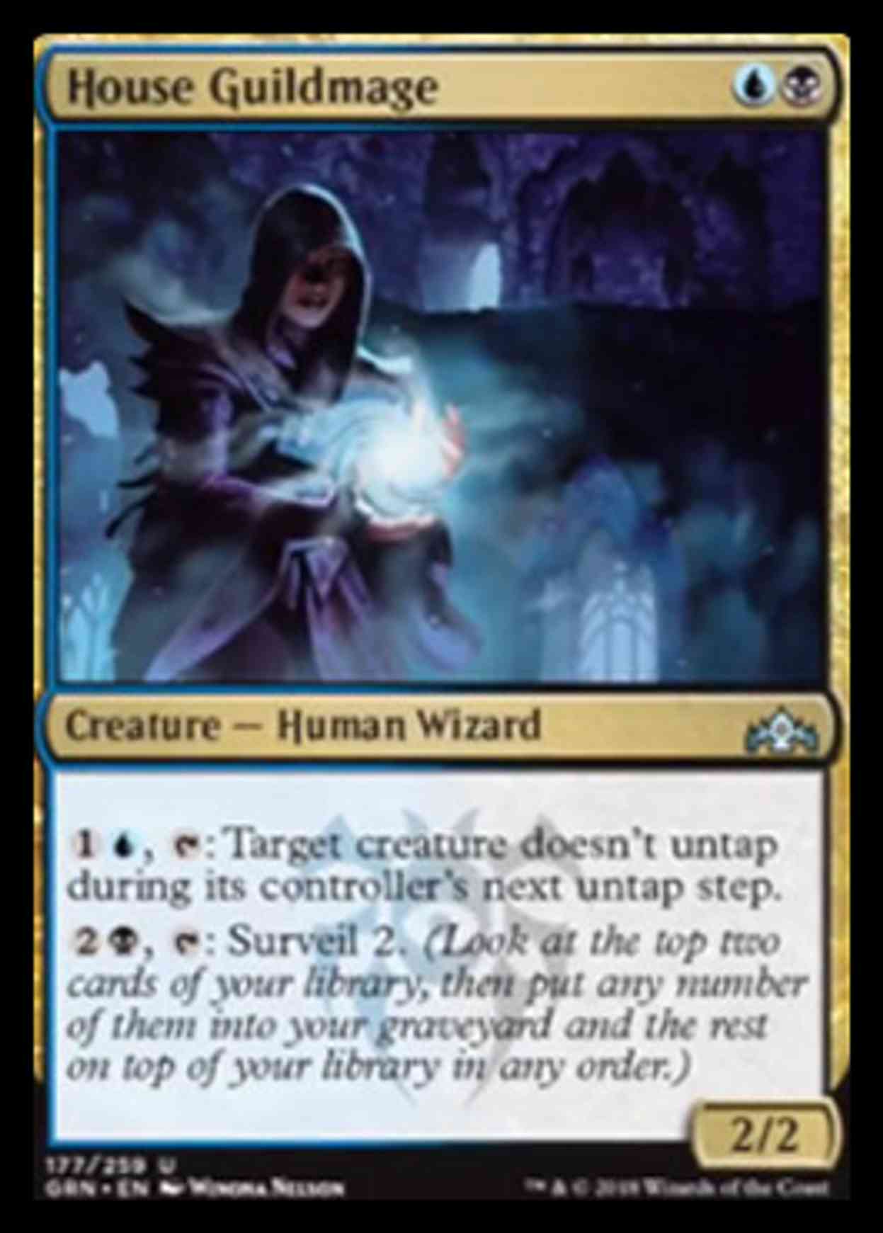 House Guildmage magic card front