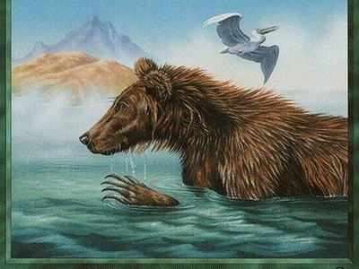 creature-bear