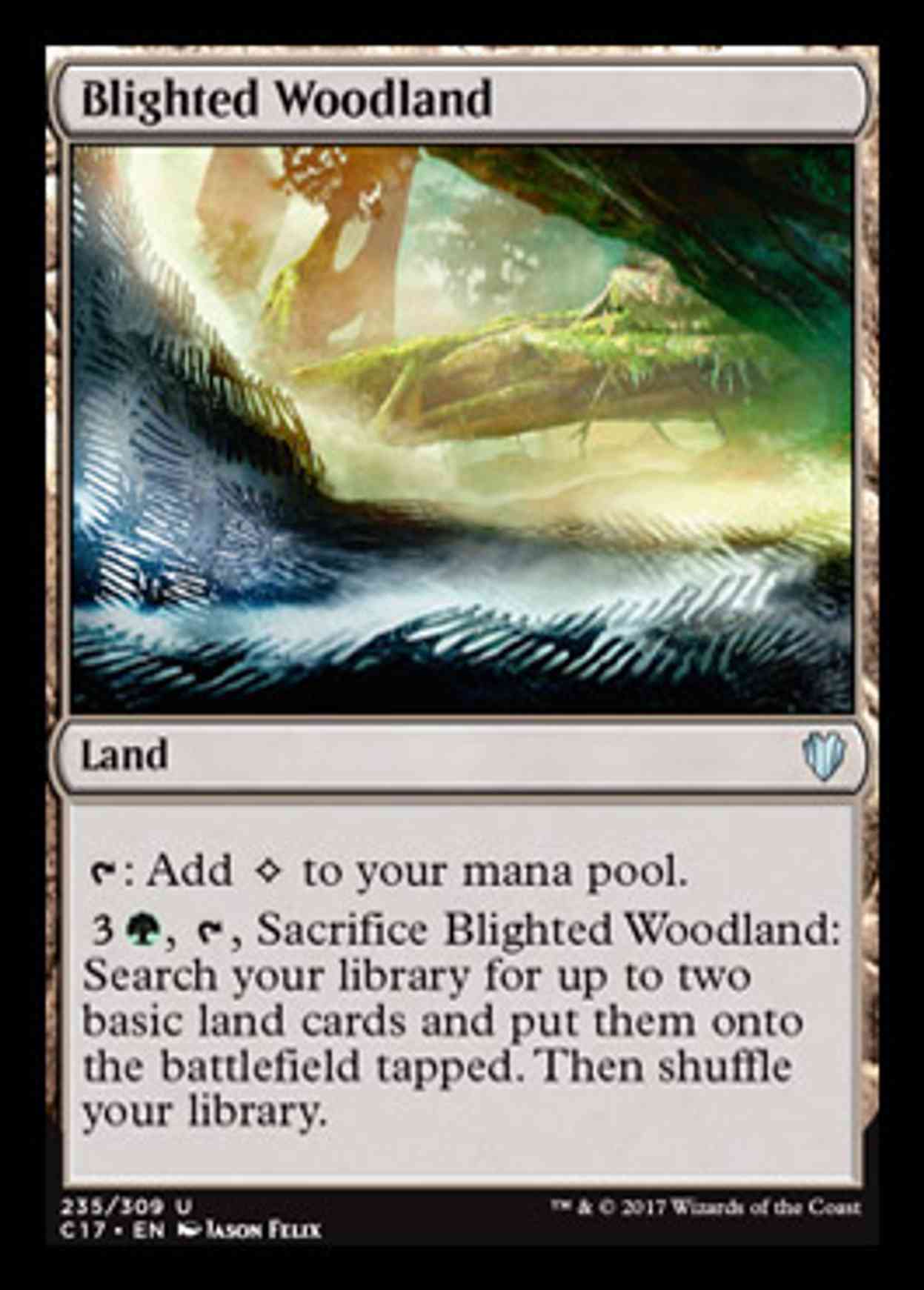 Blighted Woodland magic card front