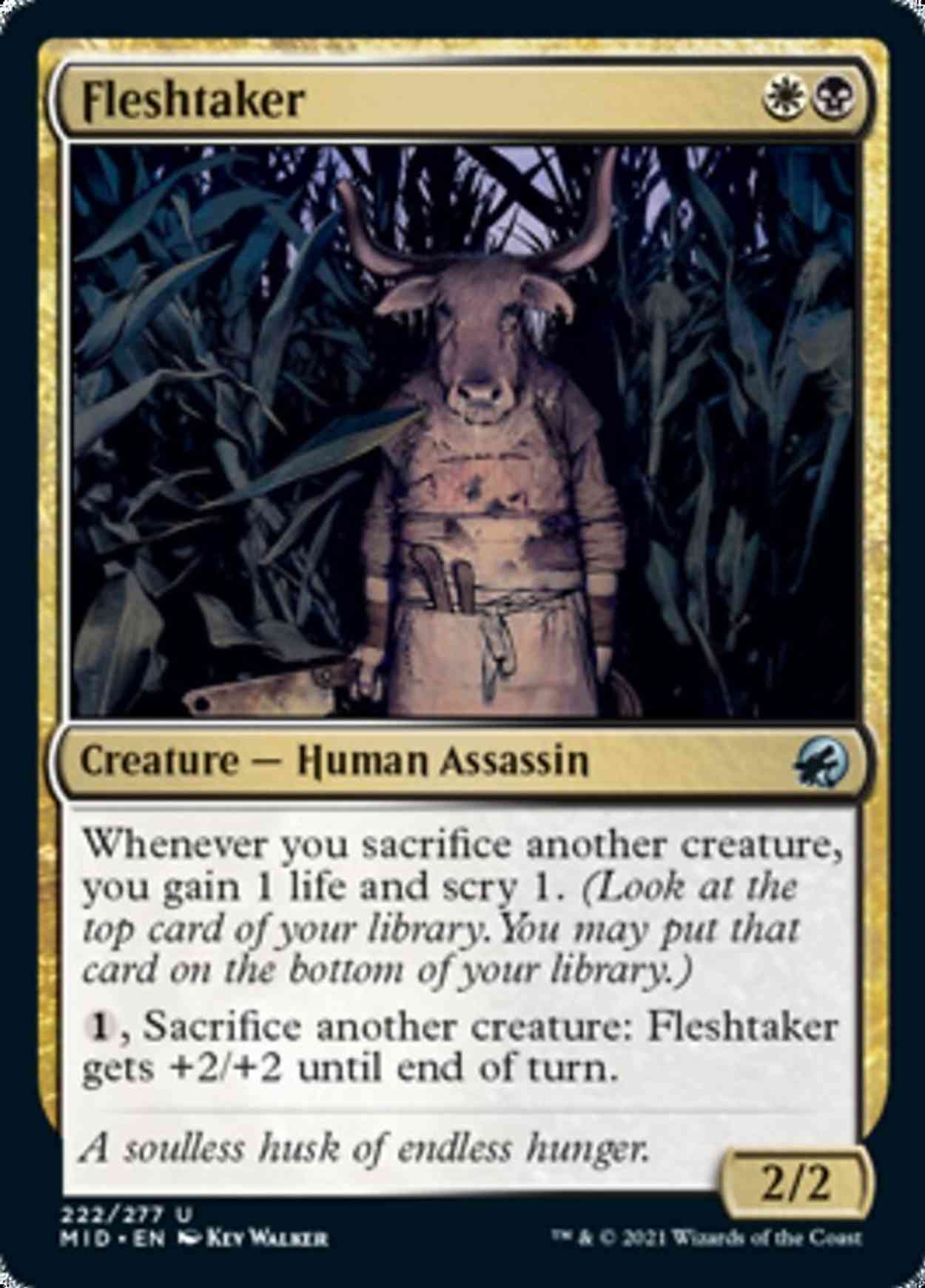 Fleshtaker magic card front